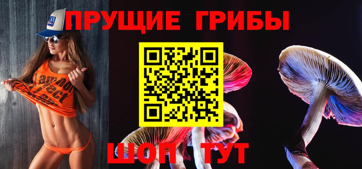 Псилоцибиновые грибы MAGIC MUSHROOMS Ялта